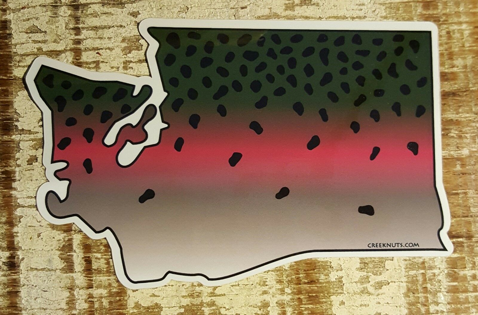Rainbow Trout Stickers State Cut-outs Fishing Many States Fly Fishing Decals