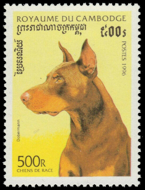 Cambodia 1566 - Dog Brecambodia 1565 - Dog Breeds "labrador Retriever" (pb33042)