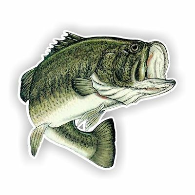 Largemouth Bass Fish Decal / Sticker Die Cut